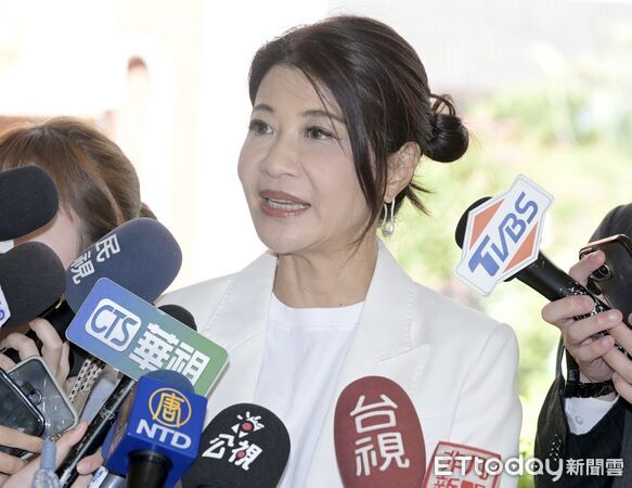 ▲▼林楚茵 聯訪 立法院。(圖/記者屠惠剛攝)