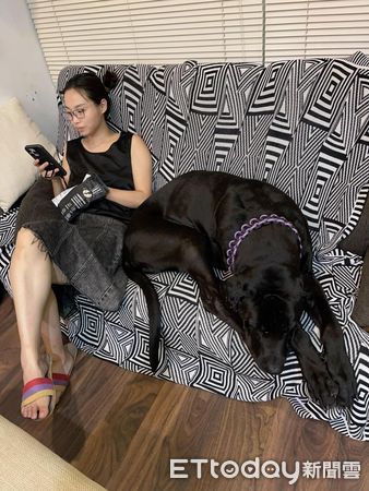 高山犬豆豆龍。(圖/粉專Taiwan Motorcyclist Couple提供)