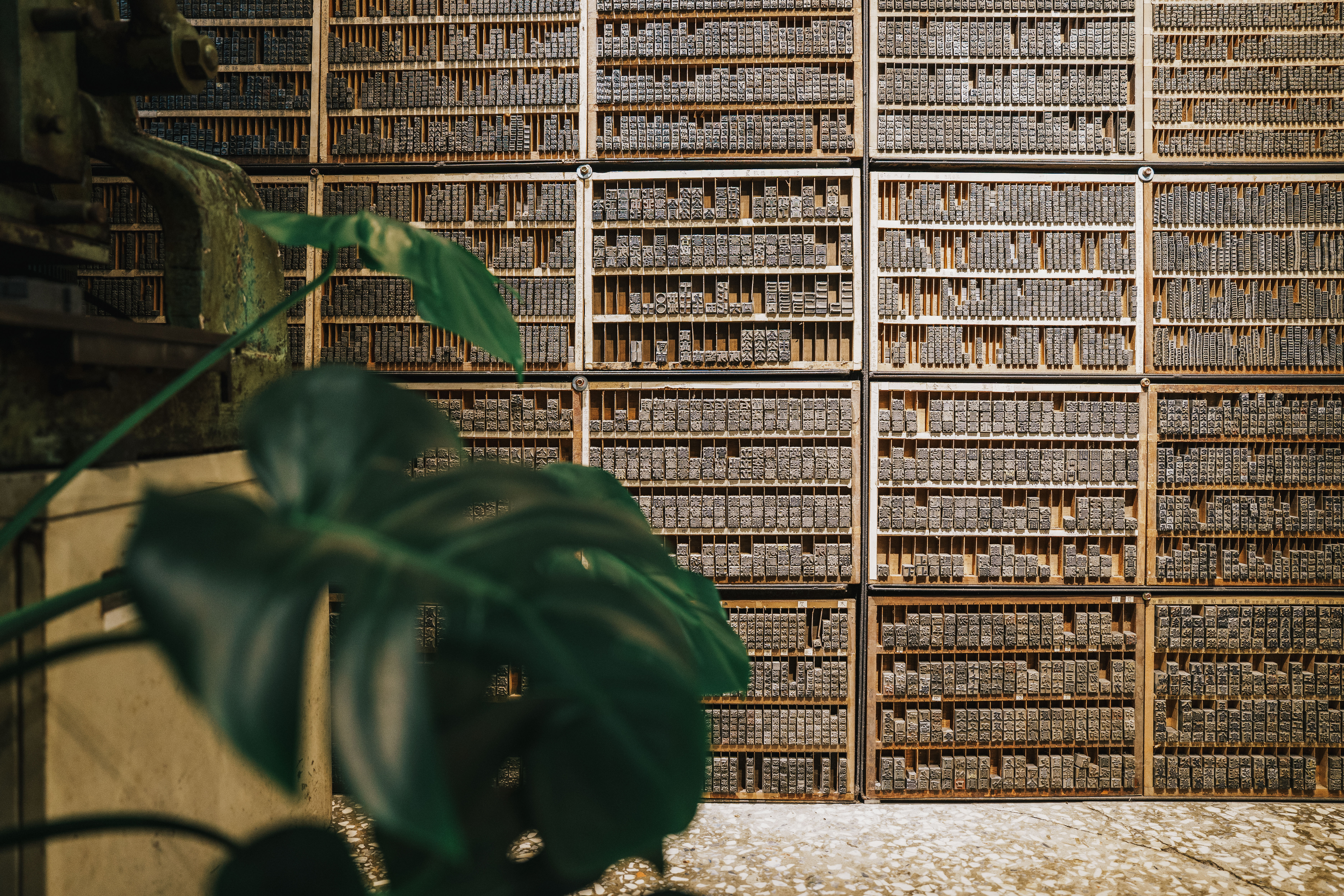 ▲誠品生活南西近日推出《台灣老屋。新浪潮》地圖。(圖/業者提供)