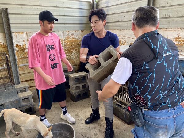 ▲韓雨潔與唐子元號召鹿希派、最美禮生寧寧、星野優、李家葳、李庭萱等人參與浪愛送糧公益活動。(圖/調皮浪浪園區)