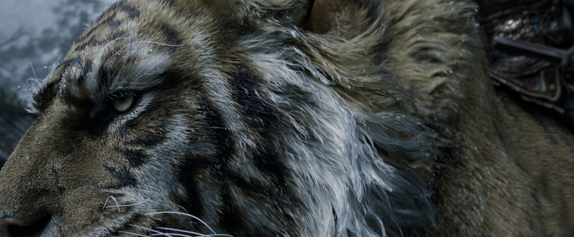 ▲《黑神話:鍾馗》預告片。(圖/翻攝遊戲科學官網)