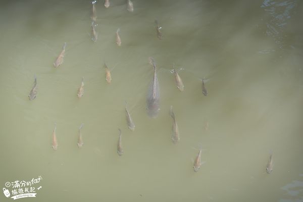 ▲▼水明漾活蝦景觀餐廳。(圖/部落客滿分的旅遊札記授權提供)