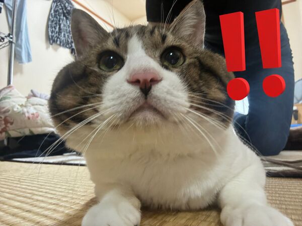 ▲。(圖/翻攝自X/@3k___pnt)