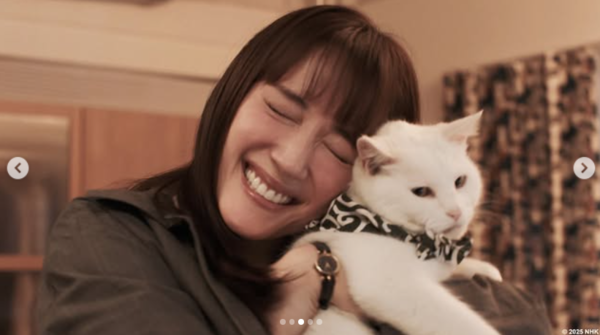 ▲▼孤獨S又怎樣。(圖/翻攝自Instagram/jme.tv_official)