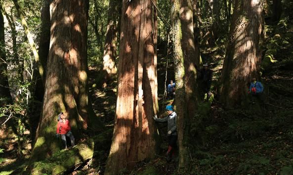 ▲▼中正紀念堂演藝廳重新整修開放,第一檔活動「台灣台語人權電影放映:相招來去看電影・學台語」精選18部片播映。(圖/翻攝自中正紀念堂管理處)