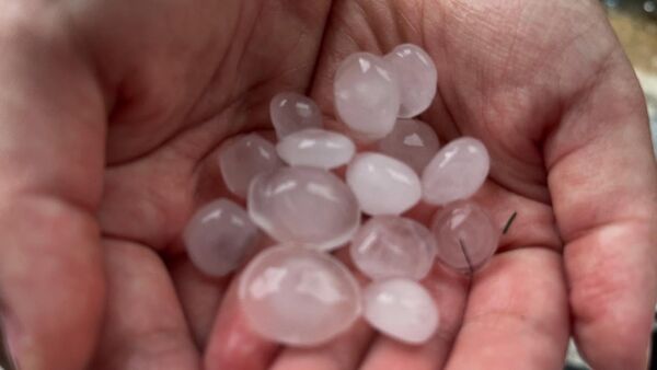 ▲▼ 。(圖/Threads/tiunnyioksan授權提供)