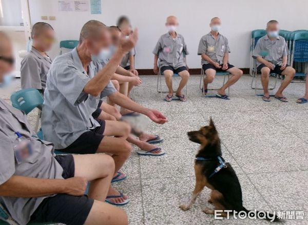 ▲▼ 嘉義監獄推動動物輔療 。(圖/嘉義監獄提供)