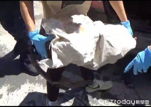 ▲▼查扣遭盜伐逾1公噸之珍貴肖楠、扁柏國有林木。(圖/桃園警分局提供)