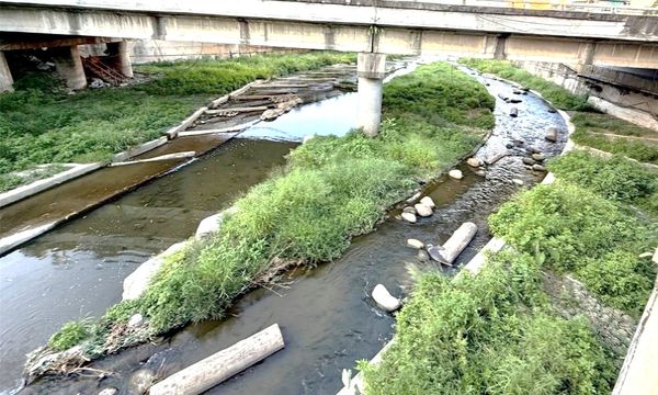 ▲新北大窠坑溪工程獲獎 生態物種重返溪濱。(圖/記者郭世賢翻攝)