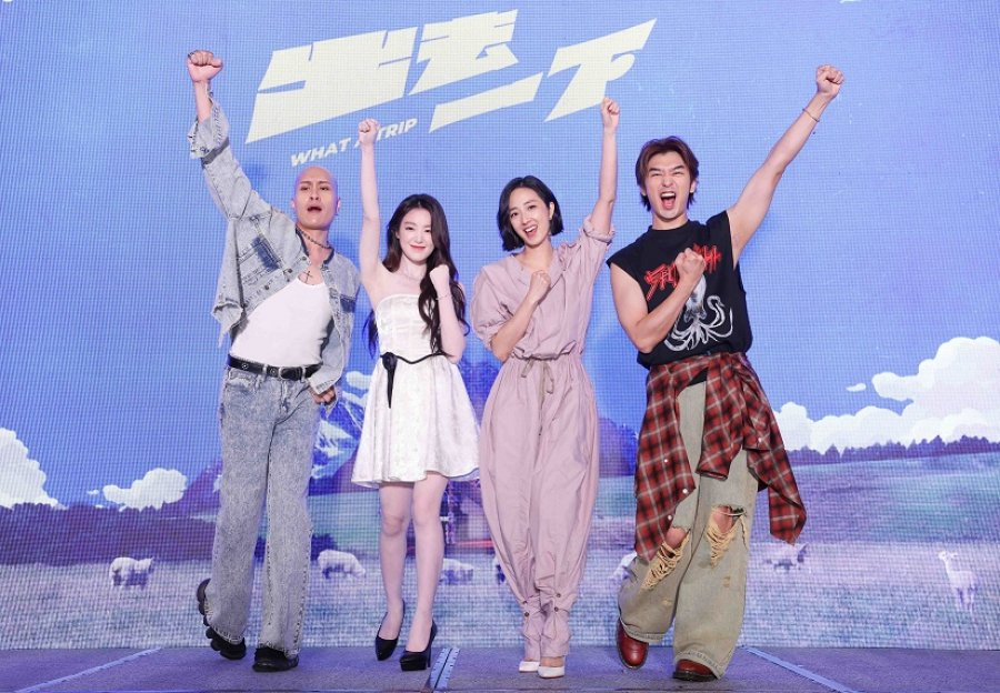 ▲▼陳柏霖,桂綸鎂,黃宣,葉舒華,紐西蘭,出去一下,明星,合照,旅遊,節目。(圖/業者提供)