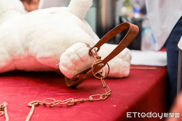 ▲▼ 三昧堂精工戲偶化身守護動物代言人,禁用獸鋏宣導影片超吸睛 。(圖/嘉義縣政府提供)