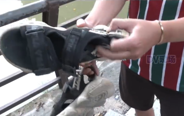 ▲▼廣州外送員送到活鱷魚。(圖/翻攝微博)