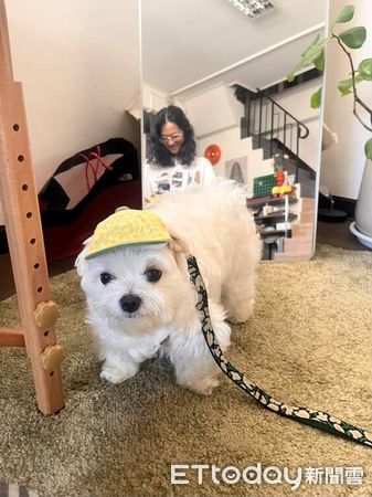 ▲。(圖/Threads@electricdoggie_tattoo提供,請勿隨意翻拍,以免侵權。)