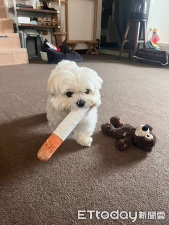 ▲。(圖/Threads@electricdoggie_tattoo提供,請勿隨意翻拍,以免侵權。)