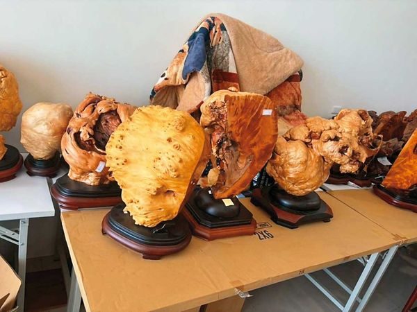 南投地檢署偵破吸收越南籍逃逸移工的山老鼠集團,他們將盜伐來的檜木等珍貴木切割成「金磚」,或加工成工藝品(圖),高價賣出牟利。(南投地檢署提供)