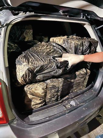 兩年前曾發生越南失聯移工組山老鼠集團盜伐南投仁愛山區珍貴扁柏四百多公斤。(翻攝畫面)