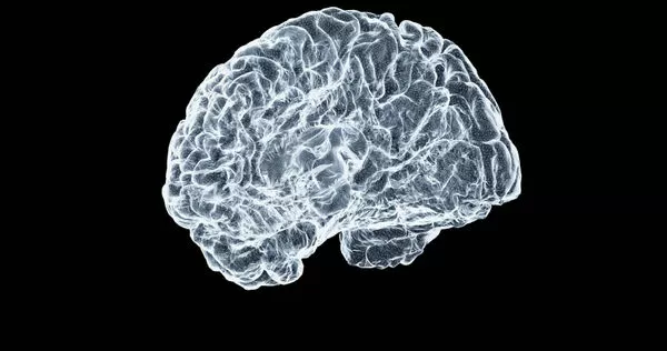 大腦可以看出性格。(示意圖/unsplash)