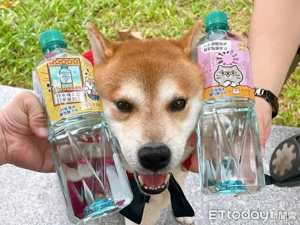 ▲台鹽公司宣布,旗下明星商品「台塩海洋鹼性離子水」攜手超人氣IP「柴語錄Shibasays」,推出四款限定瓶標與專屬插畫紙箱。(圖/記者林東良翻攝,下同)