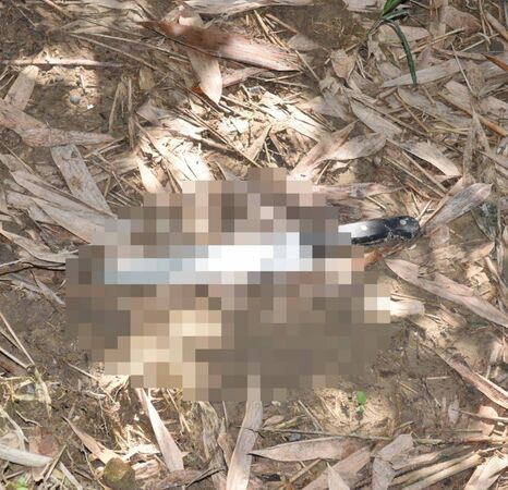 ▲▼台菲2名男子雨中草莓園爭吵,菲男多刀刺死台男。(圖/ETtoday資料照)