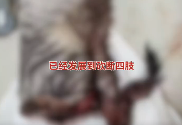 ▲▼文昌閣多隻浪貓遭挖眼、砍斷四肢。(圖/翻攝自微博)