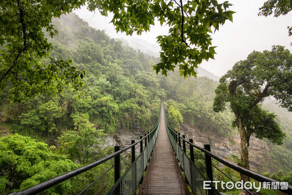 ▲▼邀請各地遊客及車友深入花東縱谷,體驗獨特板塊交界、八通關越嶺古道的魅力。(圖/縱管處提供,下同)