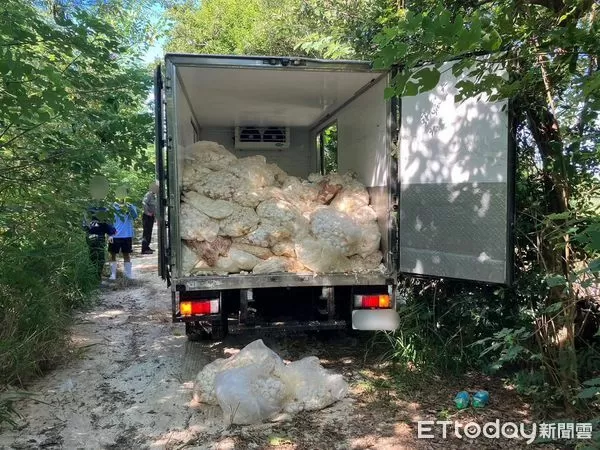 ▲新北市1家食品加工廠楊姓業者,帶著2名移工載運廢棄雞蛋殼,在通霄山區亂倒被警方查獲法辦。(圖/記者楊永盛翻攝)