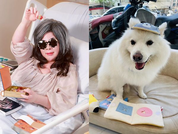 ▲▼陳文茜愛犬罹癌,只剩下6個月壽命。(圖/翻攝自臉書)