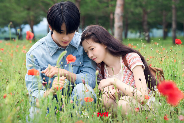 ▲▼「平時精明、一談戀愛就昏頭」星座Top 3 。(圖/翻攝自FB/tvN DRAMA)