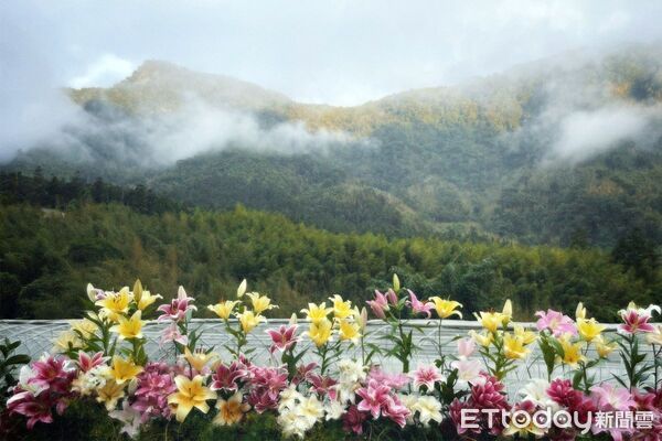 ▲▼ 中秋、雙十、光復節連假暢遊親子同遊景點阿里山賓館推全包式度假「鄒年慶部落探索」一泊三食最低9300元起 。(圖/阿里山賓館提供)