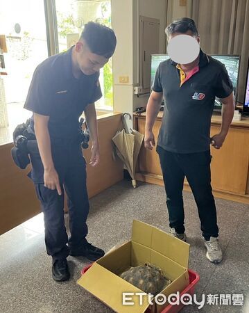 ▲善化警方巡邏時發現蘇卡達象龜誤闖市道,趕緊將牠帶回所內照料。(記者林東良翻攝,下同)