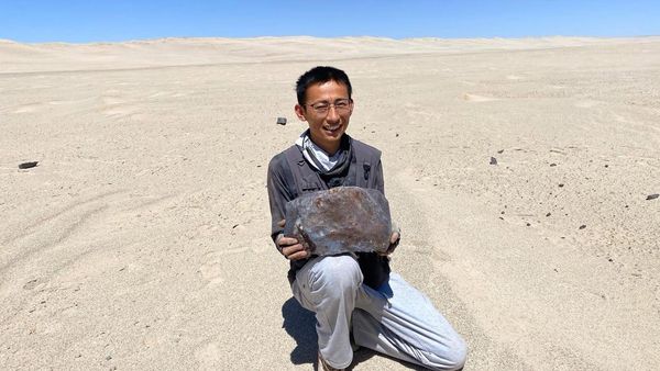 ▲▼步凡和隕石合影。(圖/翻攝紅星新聞)