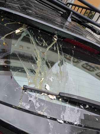 ▲李姓司機在小東路遭機車騎士丟雞蛋,事後到派出所報案提告。(記者林東良翻攝,下同)