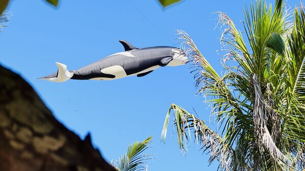 ▲台東「成功鎮『遨遊成功。誰與箏風』」風箏節將於9月28日在成功海濱公園登場。(圖/主辦方提供)