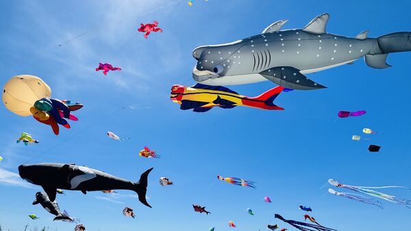 ▲台東「成功鎮『遨遊成功。誰與箏風』」風箏節將於9月28日在成功海濱公園登場。(圖/主辦方提供)