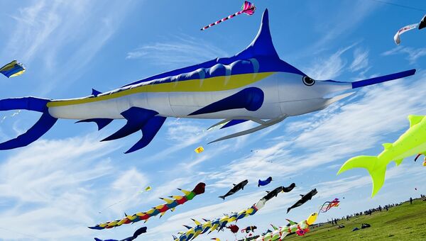 ▲台東「成功鎮『遨遊成功。誰與箏風』」風箏節將於9月28日在成功海濱公園登場。(圖/主辦方提供)