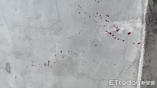 ▲基隆惡犬從家門內衝出攻擊郵差害斷指,動保處事後將該犬隻捕獲收容。(圖/記者郭世賢翻攝)