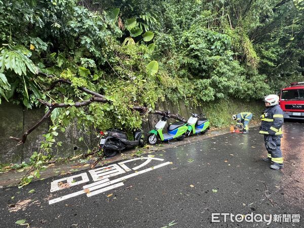 ▲疑似風力過強導致路樹倒塌,壓倒5輛機車。(圖/記者黃彥傑翻攝)