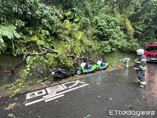 ▲疑似風力過強導致路樹倒塌,壓倒5輛機車。(圖/記者黃彥傑翻攝)