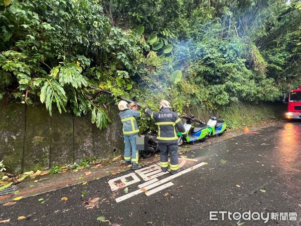 ▲疑似風力過強導致路樹倒塌,壓倒5輛機車。(圖/記者黃彥傑翻攝)