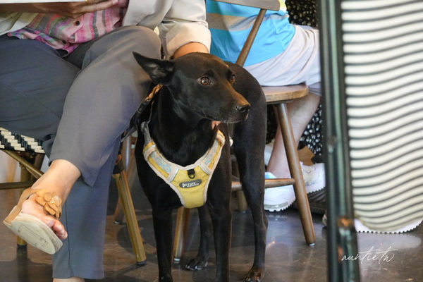 ▲▼此木窯 Chai Space & Store。(圖/部落客水晶安蹄不務正業過生活授權提供)