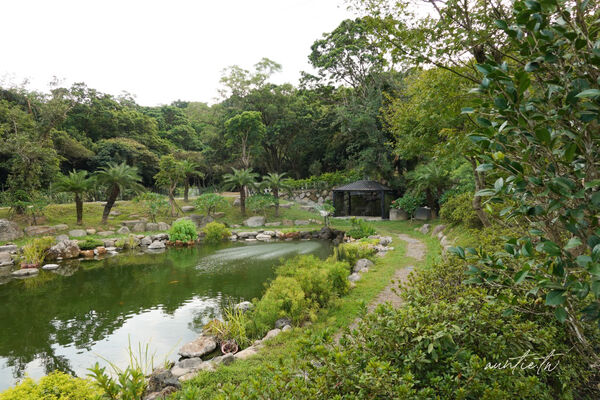 ▲▼此木窯 Chai Space & Store。(圖/部落客水晶安蹄不務正業過生活授權提供)