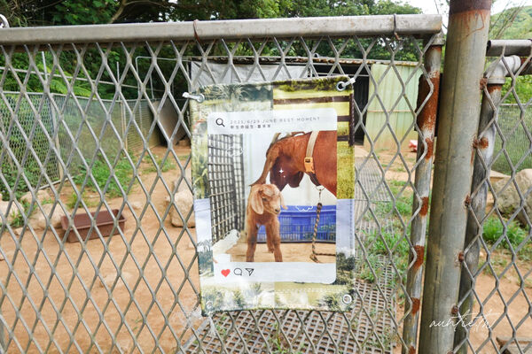 ▲▼此木窯 Chai Space & Store。(圖/部落客水晶安蹄不務正業過生活授權提供)