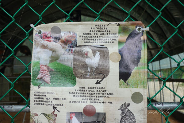 ▲▼此木窯 Chai Space & Store。(圖/部落客水晶安蹄不務正業過生活授權提供)