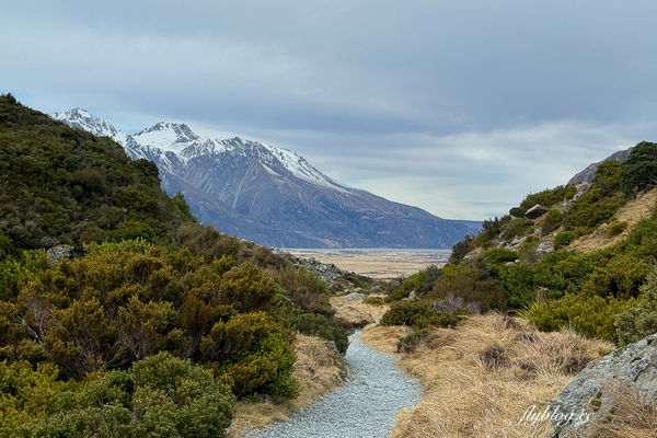 ▲▼Kea Point Track。(圖/部落客飛天璇的口袋授權提供)