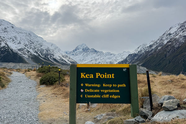 ▲▼Kea Point Track。(圖/部落客飛天璇的口袋授權提供)