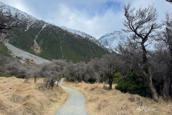 ▲▼Kea Point Track。(圖/部落客飛天璇的口袋授權提供)