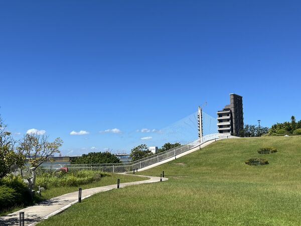 ▲將捷金鬱金香酒店推出「2025跨年三天兩夜住房專案」,將捷金鬱金香酒店賞跨年煙火和淡江大橋。(圖/業者提供)