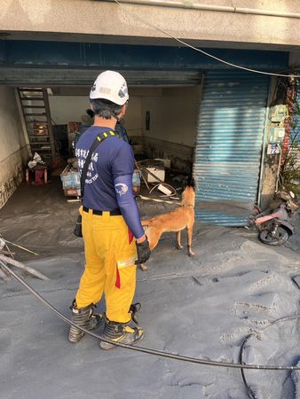 高雄市搜救犬出動救援花蓮光復鄉。(圖/翻攝自高雄市政府消防局特搜大隊搜救犬馴養小組)