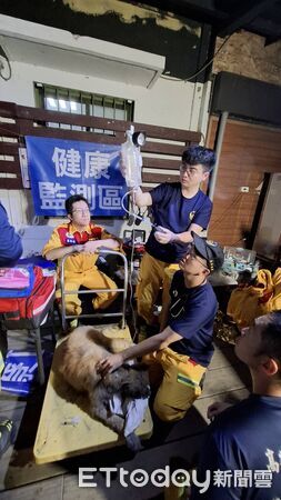 ▲▼泥濘中「露出一顆頭」!狗狗陷黑泥險滅頂…隊員徒手挖30分鐘救出。(圖/記者賴文萱翻攝)