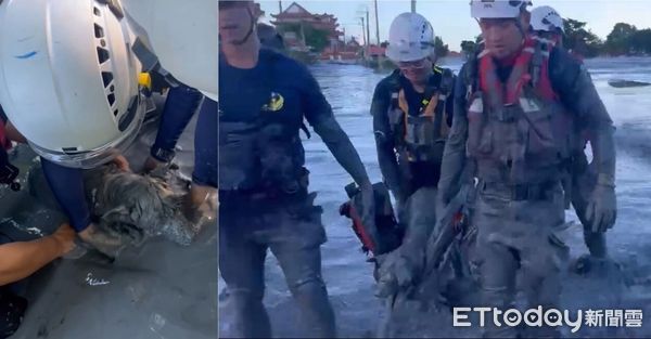 ▲▼花蓮狗狗陷黑泥險滅頂,隊員徒手挖40分鐘成功將牠救出。(圖/記者賴文萱翻攝)